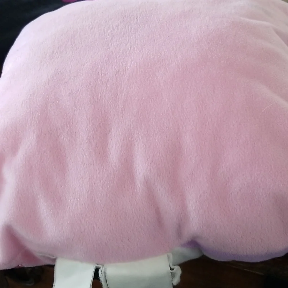 Care Bears Share Bear Pillow